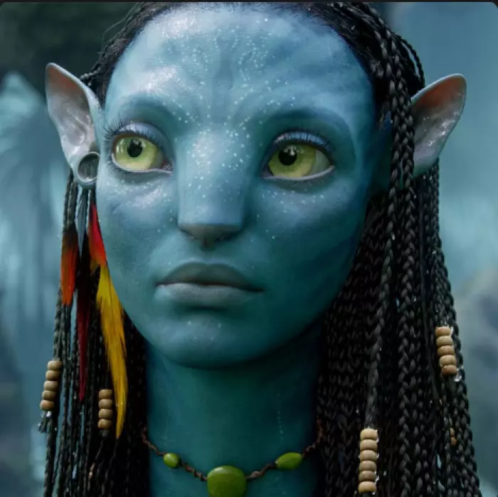 No Avatar sequels without Napster founder's money