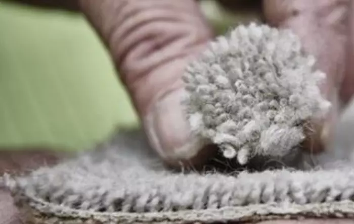 Kāinga Ora says no thanks to wool carpet