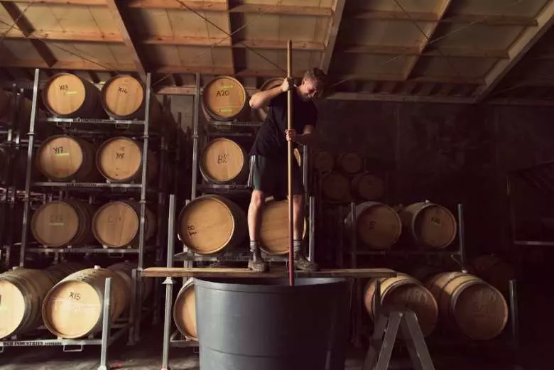 A Palliser Estate winemaker doing the 'punch down' with harvested grapes. (Photo: supplied).
