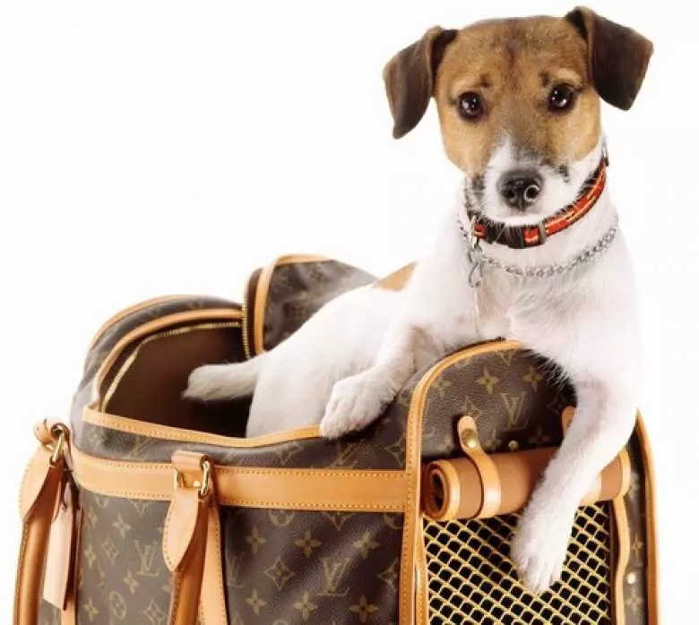 Louis Vuitton is one of the luxury brands who cater to the pet market. (Photo: iStock).
