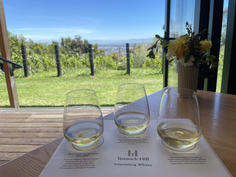 Review Tussock Hill Cellar Door the Christchurch vineyard