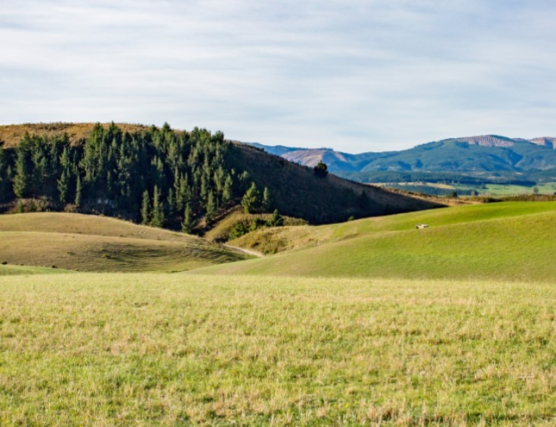 Jarden lifts NZ Rural Land target price after new Aussie fund deal ...